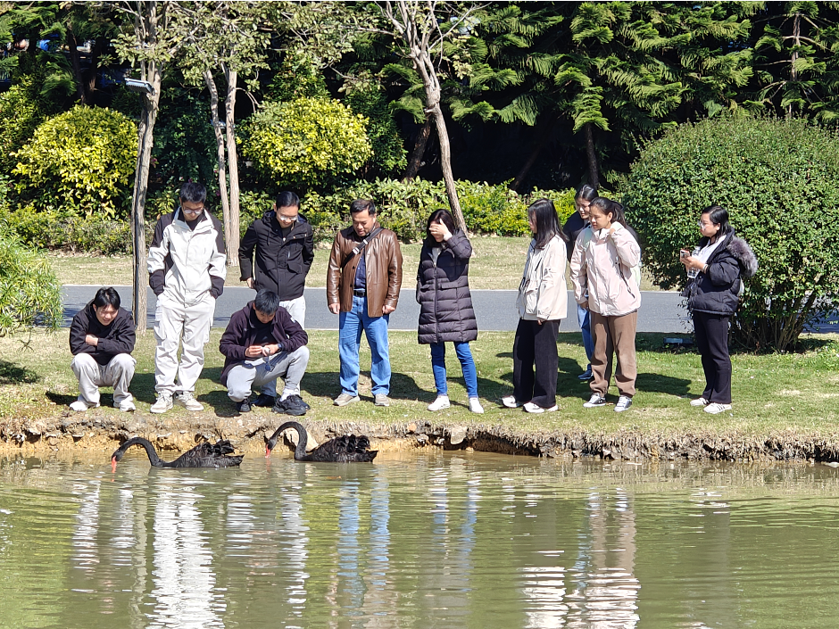 1768208426483961.png image.png